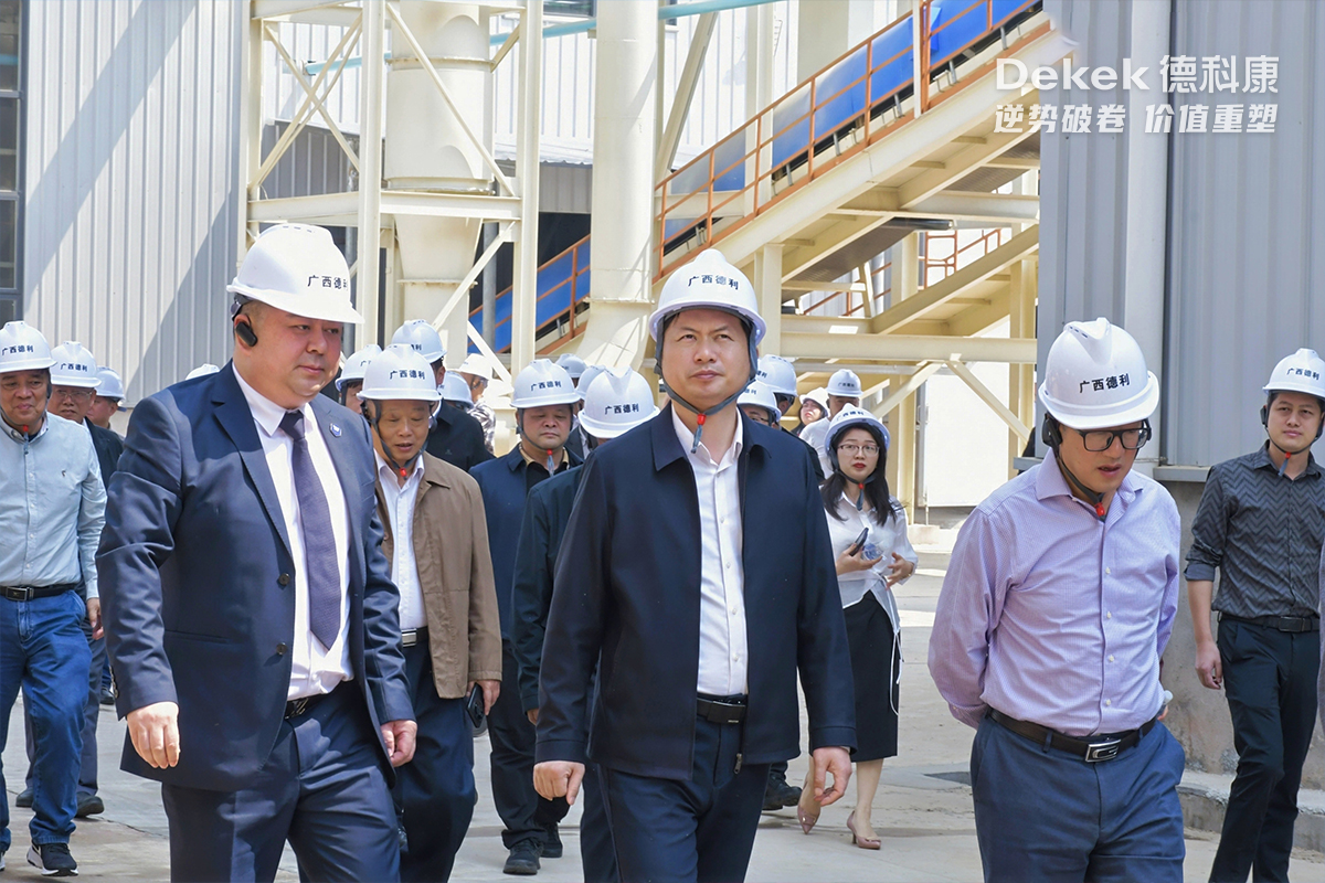 （左）德科康集团董事长苏治、（中）博白县县长覃挺、（右）中国工程院院士杜官本.jpg