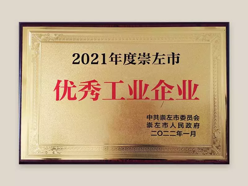 2021崇左市优秀工业企业