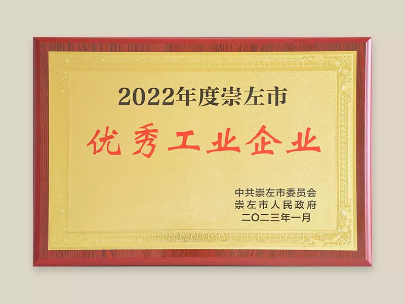 2022 崇左市优秀工业企业