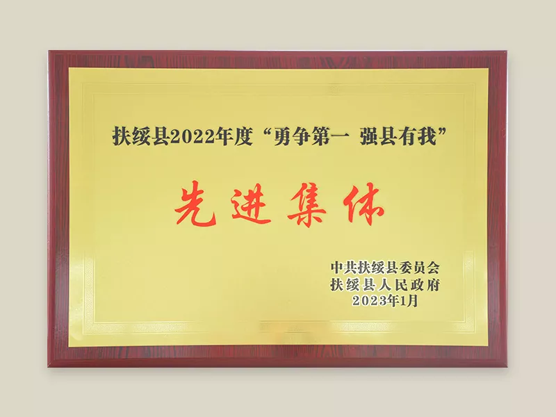 2022 扶绥县先进集体单位